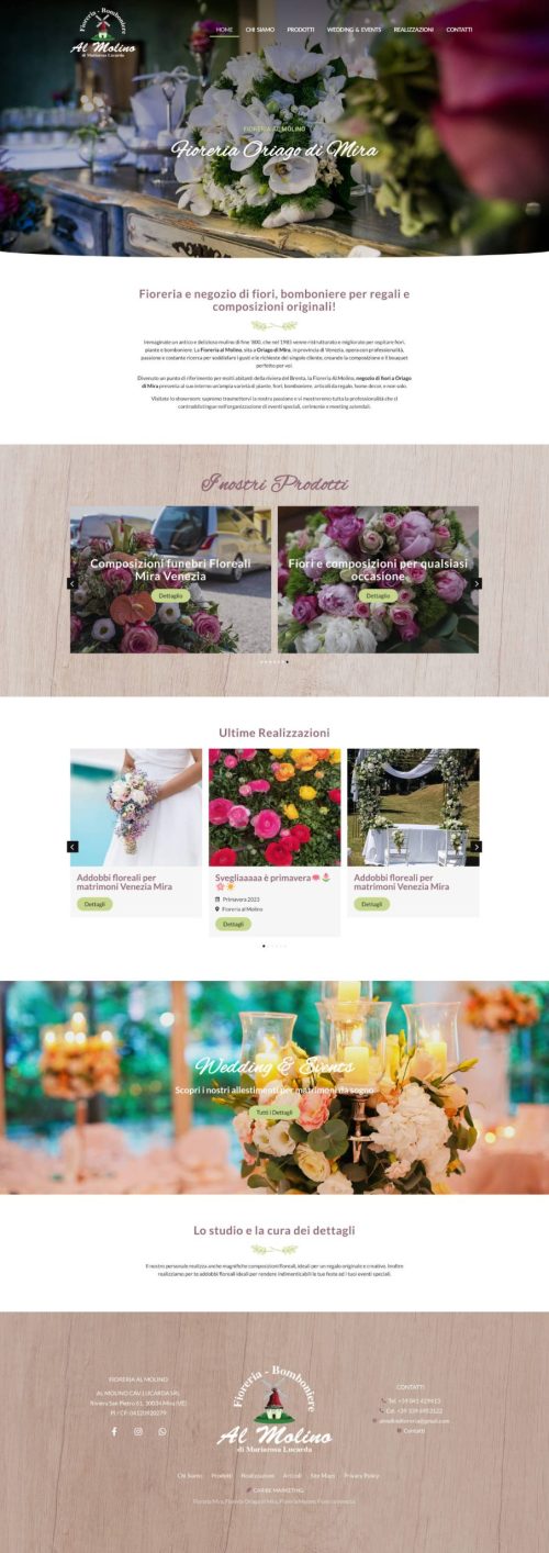 Creazione sito web al molino web agency Mira Ve